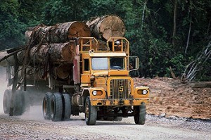 Logging truck Carrying Logs