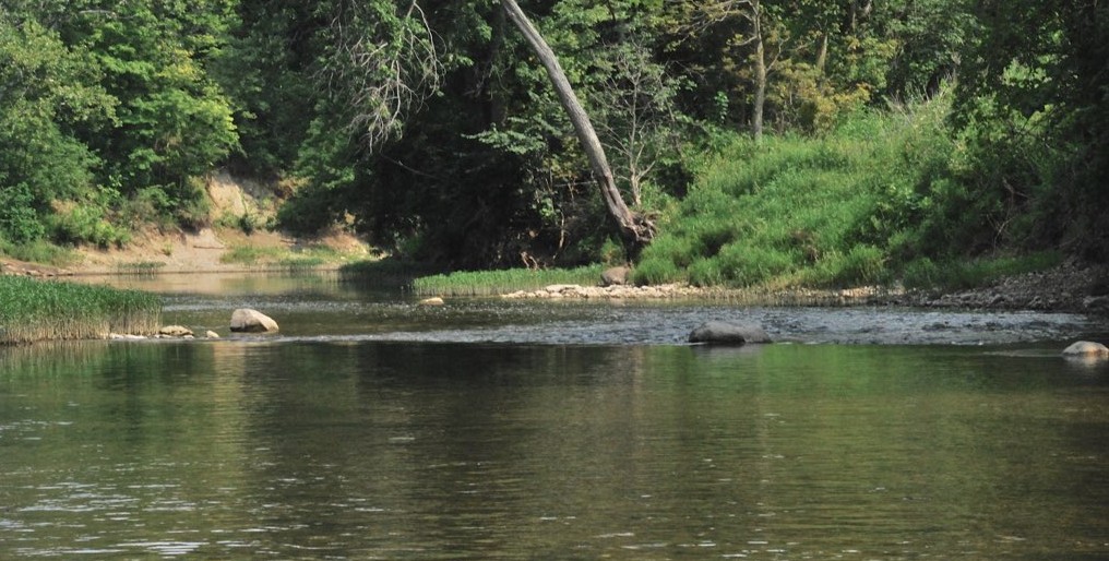 Protect the Middle Fork · EcoJustice Collaborative