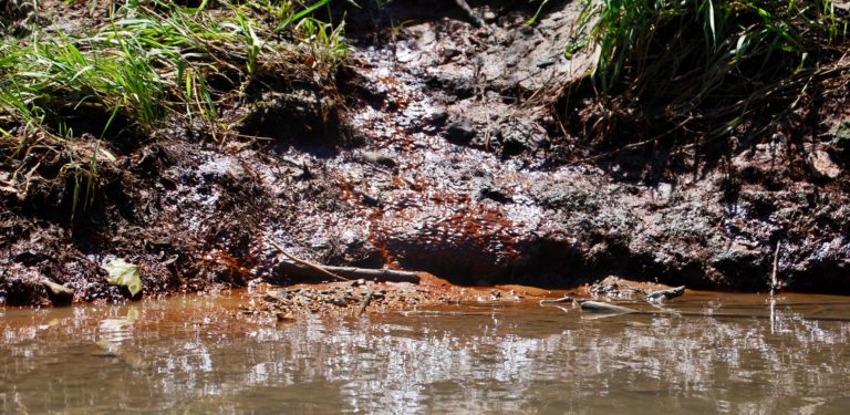 Thanks to You – IL Coal Ash Rules Adopted!