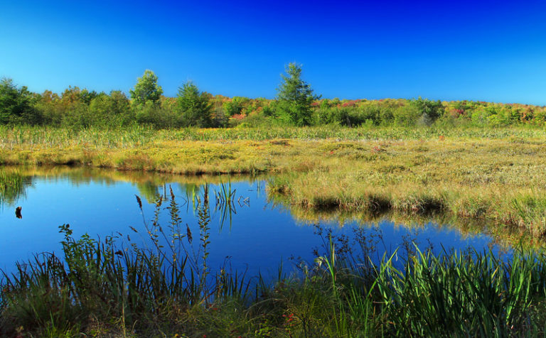 Why do we need natural climate solutions?