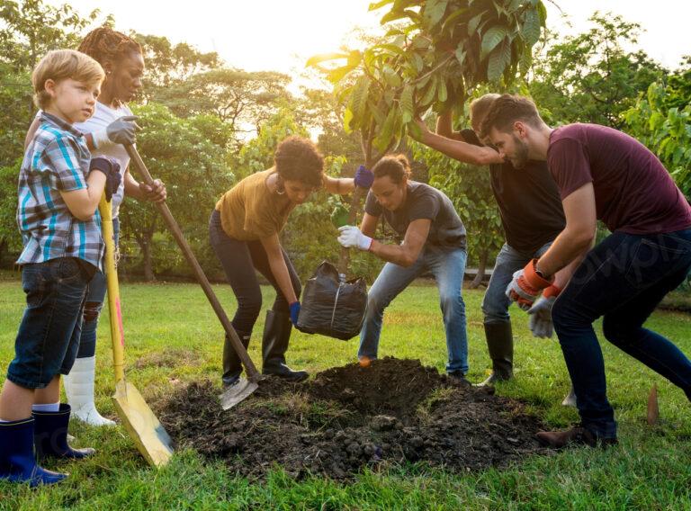 Webinar! Uprooting Injustice by Planting Trees
