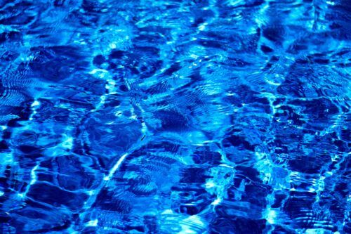 Support for Champaign County's CCS Ordinance