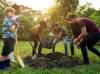 Uprooting Injustice